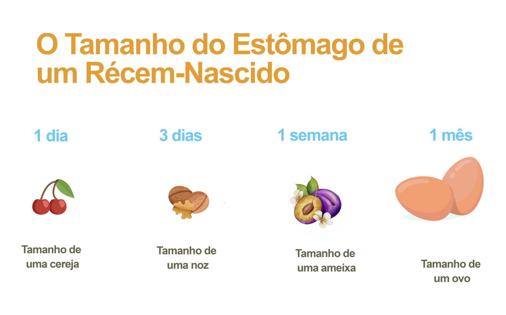 comparação do tamanho do estomago do bebê